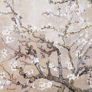 Almond Blossoms Art Prints