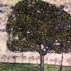 Apple Trees Canvas Prints