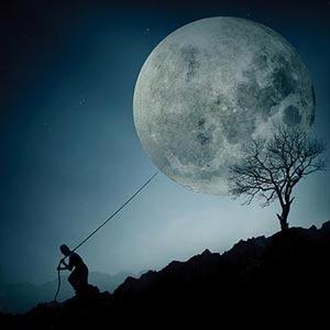 Moons Canvas Art