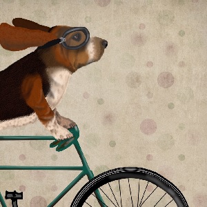 Basset Hounds Canvas Prints