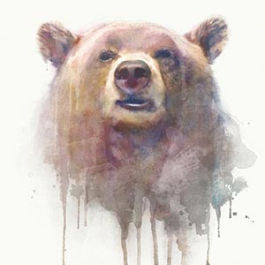 Wildlife Art Prints