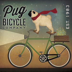 Bicycle Art Prints