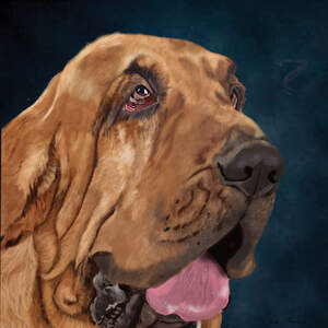 Bloodhounds Canvas Prints