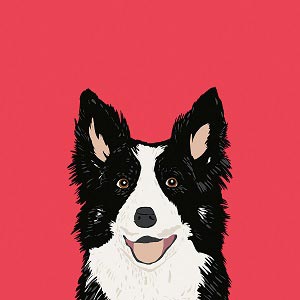 Border Collies Canvas Artwork