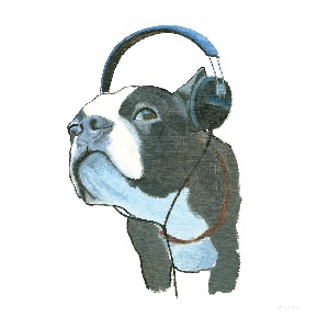 Boston Terriers Art Prints