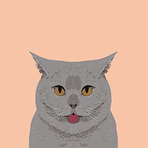 British Shorthairs Canvas Art Prints