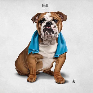 English Bulldogs Canvas Artwork