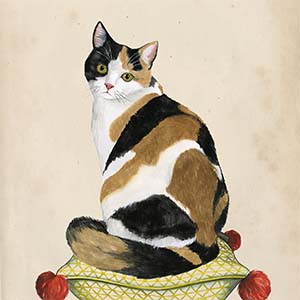Calicos Canvas Art Prints