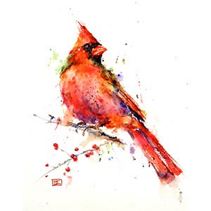 Cardinals Art Prints
