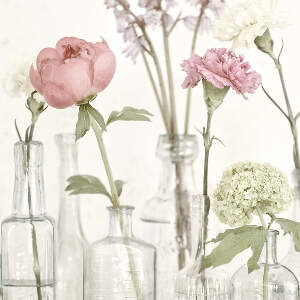 Carnations Canvas Prints