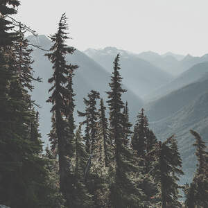 Cascade Range Canvas Art