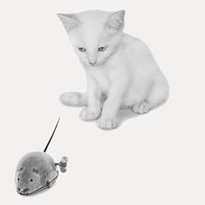 Cats Art Prints