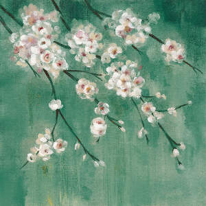 Cherry Blossoms Canvas Art