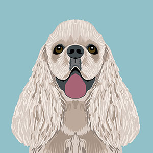 Cocker Spaniels Canvas Prints