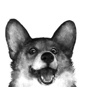 Corgis Art Prints