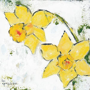 Daffodils Canvas Art