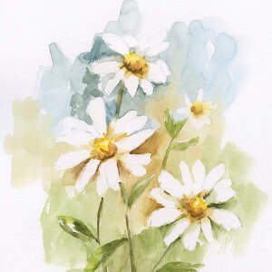 Daisies Art Prints