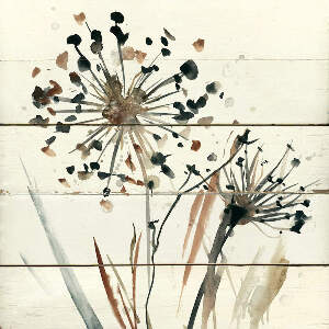 Dandelions Canvas Prints