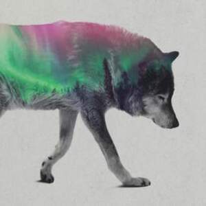 Double Exposure Photography Canvas Artwork