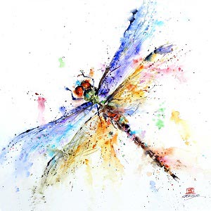 Dragonflies Canvas Prints