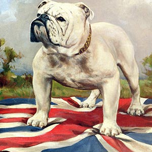 England Canvas Prints