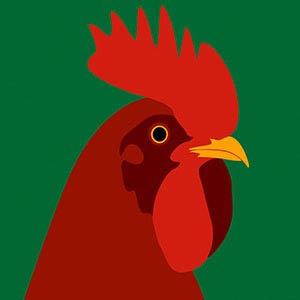All Farm Animals Canvas Prints