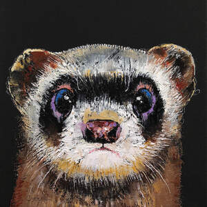 Ferrets Canvas Prints