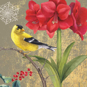 Finches Canvas Art Prints