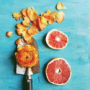 Fruits Canvas Artwork