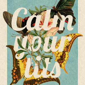 Funny Typography Canvas Prints
