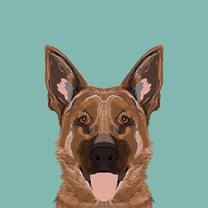 German Shepherds Art Prints