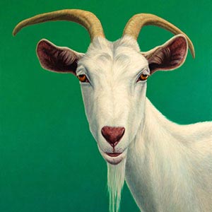 Goats Canvas Prints