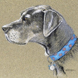 Great Danes Canvas Art Prints