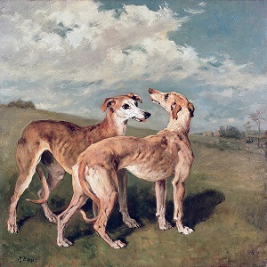 Greyhounds Canvas Art Prints