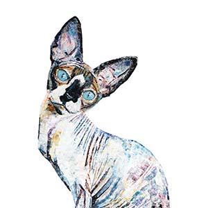 Hairless Cats Canvas Prints