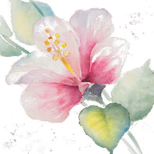 Hibiscuses Canvas Art