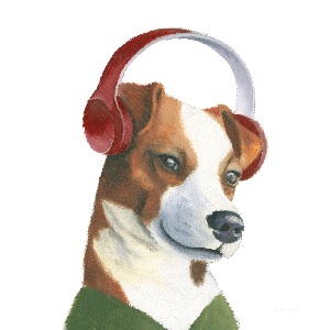 Jack Russell Terriers Canvas Prints