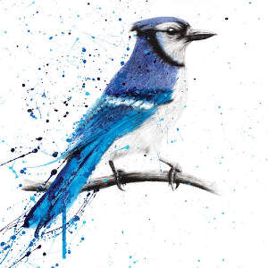 Jays Canvas Artwork
