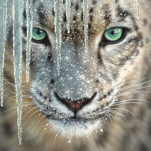 Leopards Art Prints