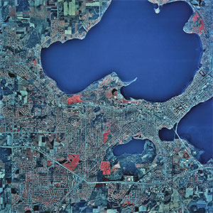 Madison Art Prints