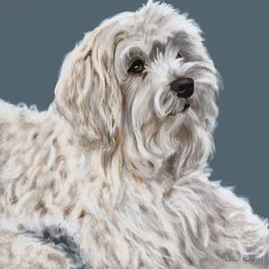 Maltese Art Prints