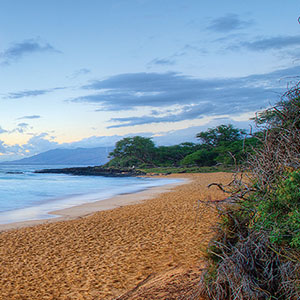 Maui Canvas Art Prints