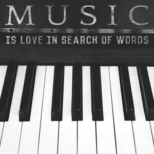 All Music Canvas Artwork