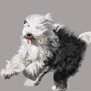 Old English Sheepdogs Canvas Art