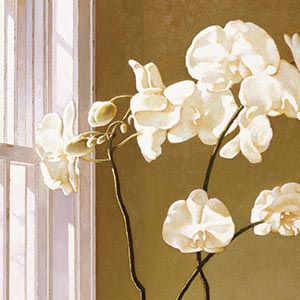 Orchids Canvas Art