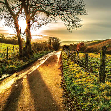 Photography Canvas Art