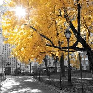 Color Pop Photography Canvas Prints