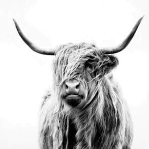 Best Selling Photography Canvas Art