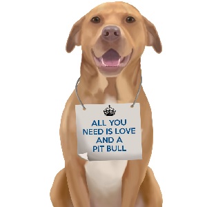 Pit bulls Canvas Art