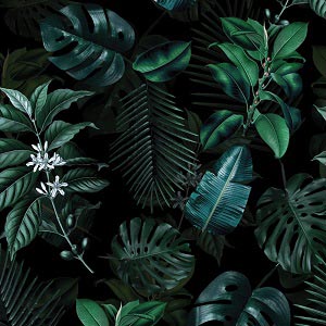 Plants Canvas Art